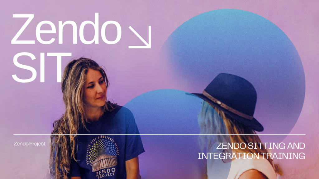 Zendo SIT banner.